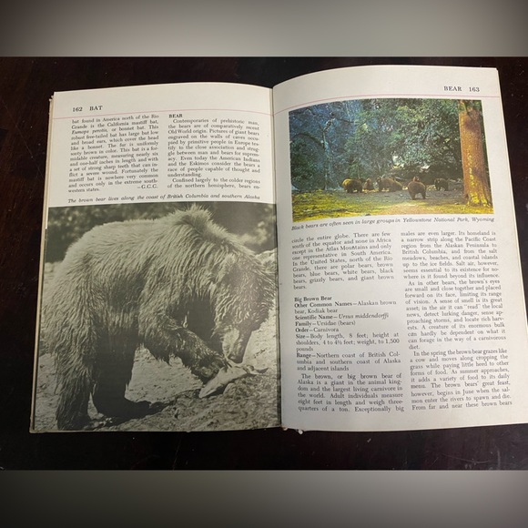 Vintage book Audubon Nature Encyclopedia 1964 for ephemera - Picture 5 of 8